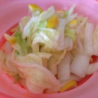 あけましておめでとう♪
白菜も柚子も沢山有るので倍量で作ったよ♡直ぐ食べれるので待つのが嫌いな、イラチの関西人には嬉しいわ！感謝☆
今年も宜しくね^ ^